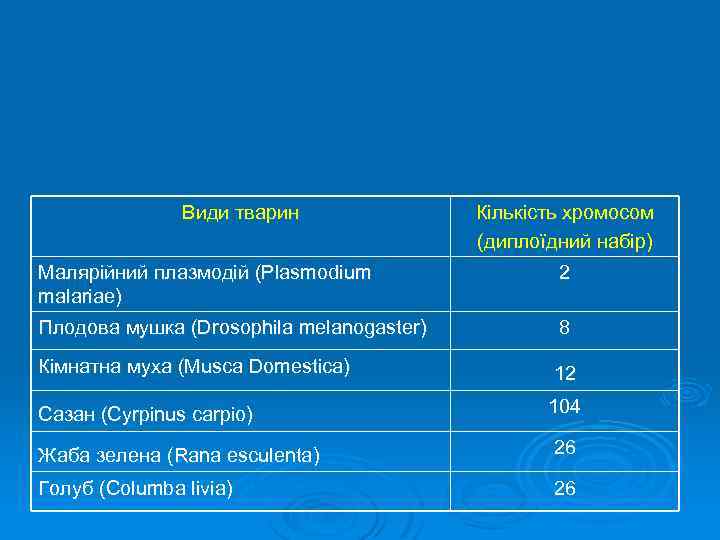 Види тварин Кількість хромосом (диплоїдний набір) Малярійний плазмодій (Plasmodium malariae) 2 Плодова мушка (Drosophila