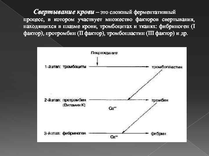 Свертывание крови – это сложный ферментативный процесс, в котором участвует множество факторов свертывания, находящихся