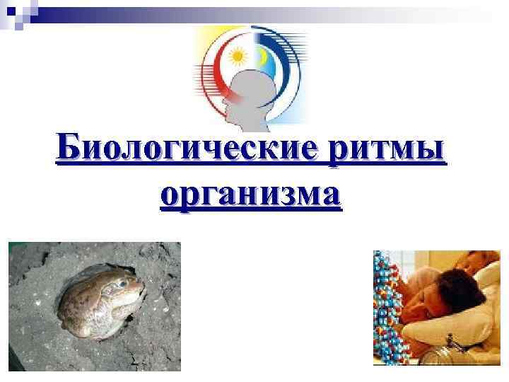Биологические ритмы организма 