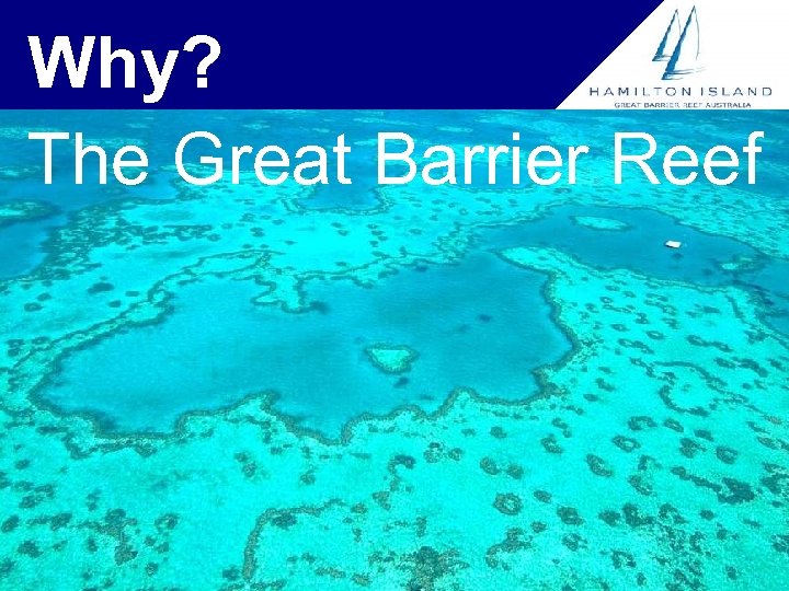 Why? The Great Barrier Reef 
