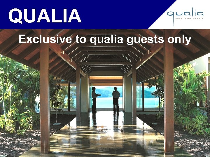QUALIA Exclusive to qualia guests only 