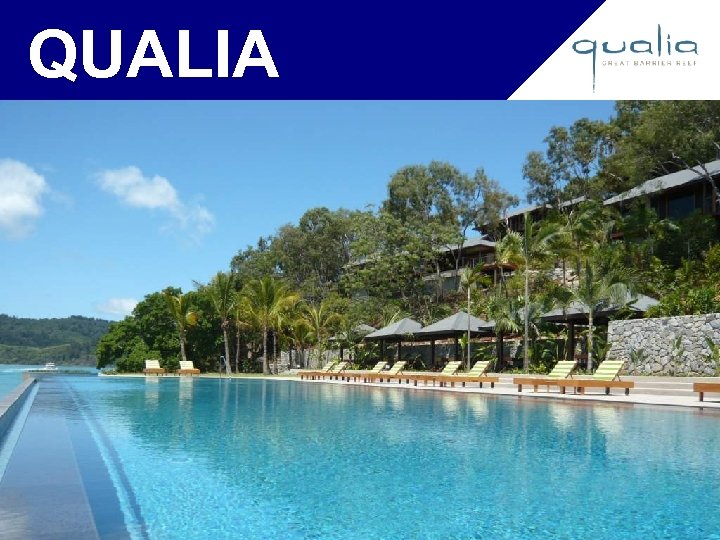 QUALIA 