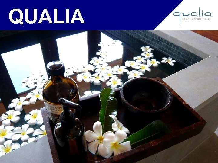 QUALIA 