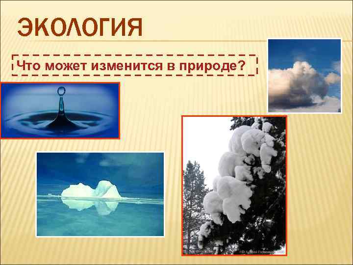ЭКОЛОГИЯ Что может изменится в природе? 