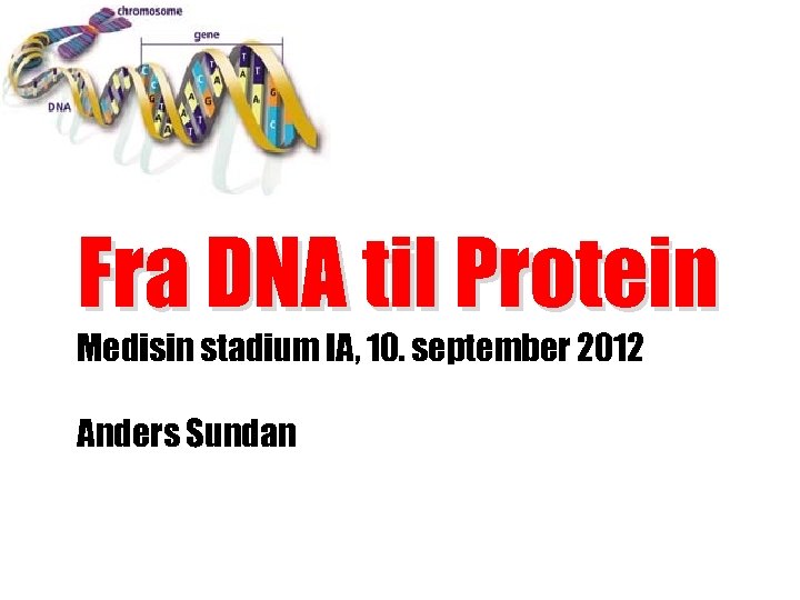 Fra DNA til Protein Medisin stadium IA, 10. september 2012 Anders Sundan 