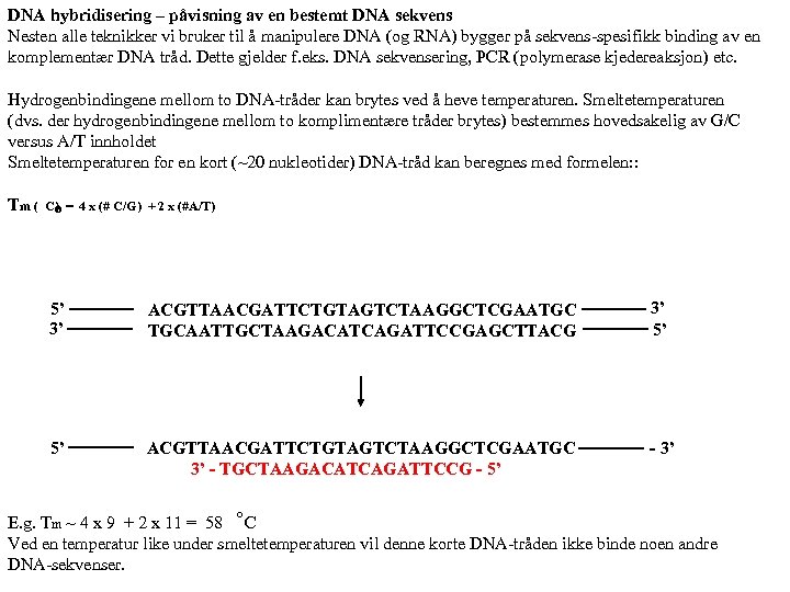 DNA hybridisering – påvisning av en bestemt DNA sekvens Nesten alle teknikker vi bruker