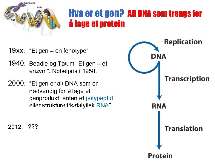 Hva er et gen? All DNA som trengs for å lage et protein 19
