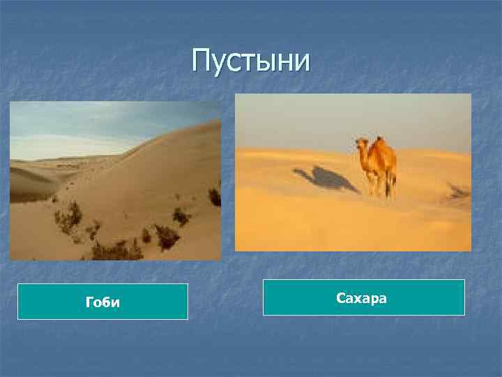 Пустыни Гоби Сахара 