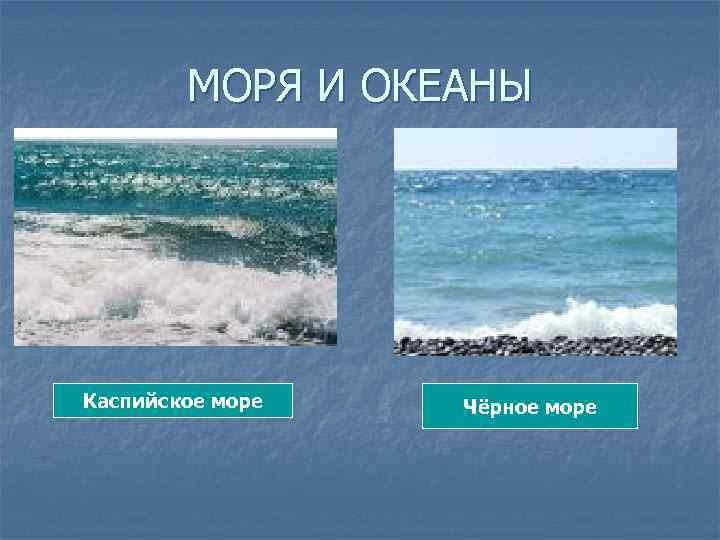 МОРЯ И ОКЕАНЫ Каспийское море Чёрное море 