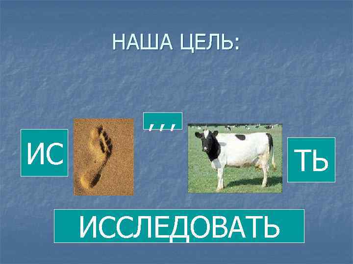 НАША ЦЕЛЬ: , , , ИС ТЬ ИССЛЕДОВАТЬ 