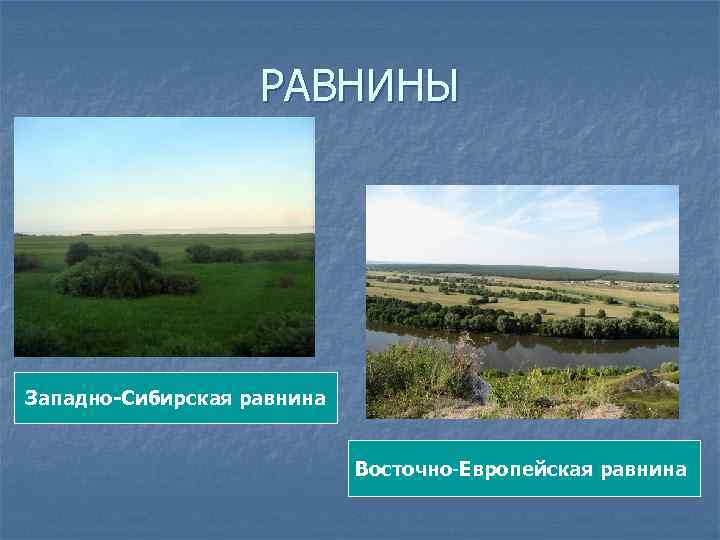 РАВНИНЫ Западно-Сибирская равнина Восточно-Европейская равнина 
