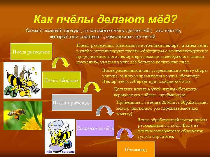 Проект мед 4 класс