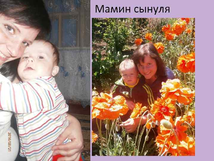 Мамин сынуля 