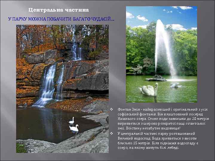 Центральна частина У ПАРКУ МОЖНА ПОБАЧИТИ БАГАТО ЧУДАСІЙ… v v Фонтан Змія - найкрасивіший