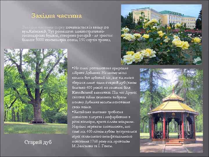 Західна частина парку починається із входу по вул. Київській. Тут розміщені адміністративногосподарські будівлі, створено