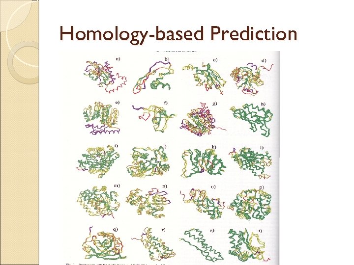 Homology-based Prediction 