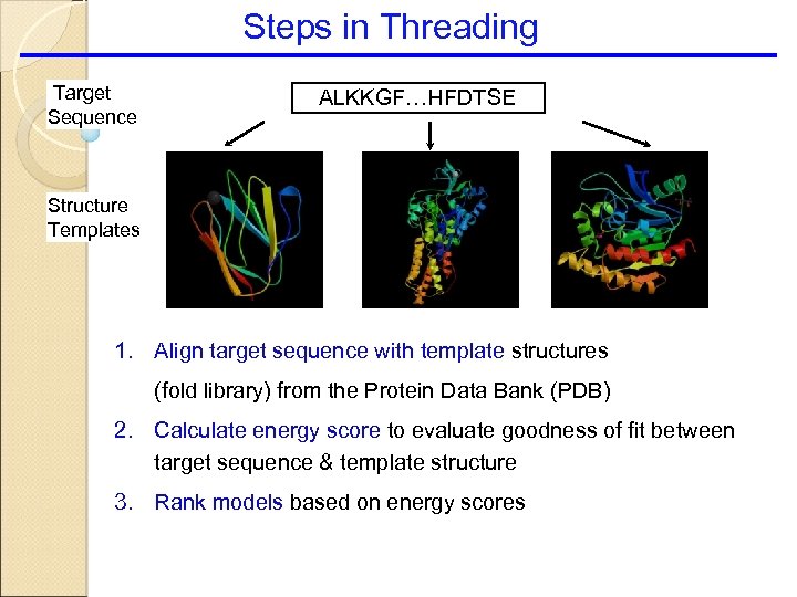 Steps in Threading Target Sequence ALKKGF…HFDTSE Structure Templates 1. Align target sequence with template