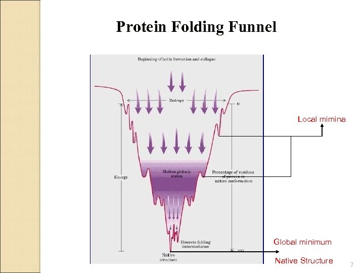 Protein Folding Funnel Local mimina Global minimum Native Structure 7 