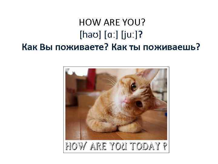  HOW ARE YOU? [haʊ] [ɑː] [juː]? Как Вы поживаете? Как ты поживаешь? 