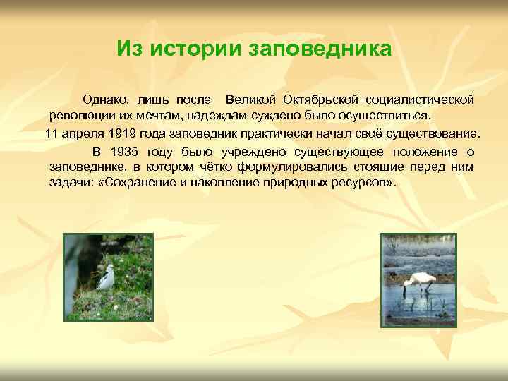 Из истории заповедника Однако, лишь после Великой Октябрьской социалистической революции их мечтам, надеждам суждено