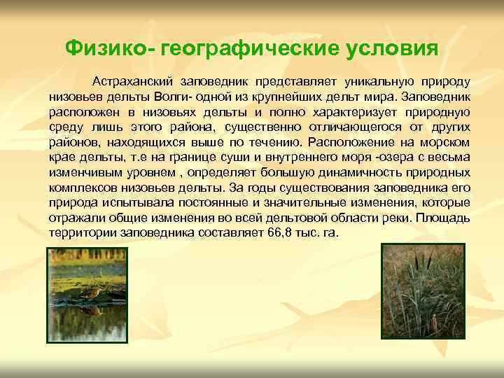 Физико- географические условия Астраханский заповедник представляет уникальную природу низовьев дельты Волги- одной из крупнейших