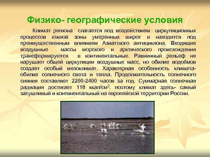 Физико- географические условия Климат региона слагается под воздействием циркуляционных процессов южной зоны умеренных широт