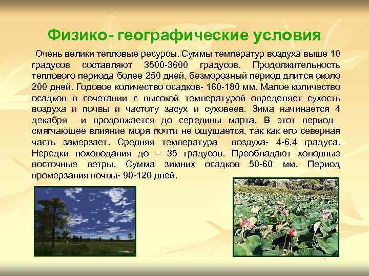 Физико- географические условия Очень велики тепловые ресурсы. Суммы температур воздуха выше 10 градусов составляют