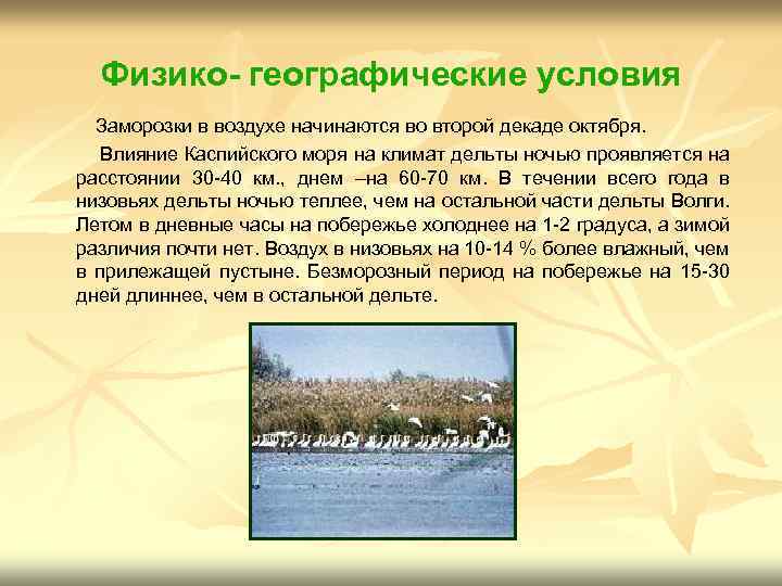 Физико- географические условия Заморозки в воздухе начинаются во второй декаде октября. Влияние Каспийского моря