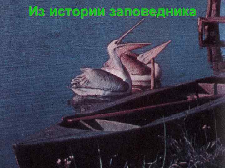 Из истории заповедника 