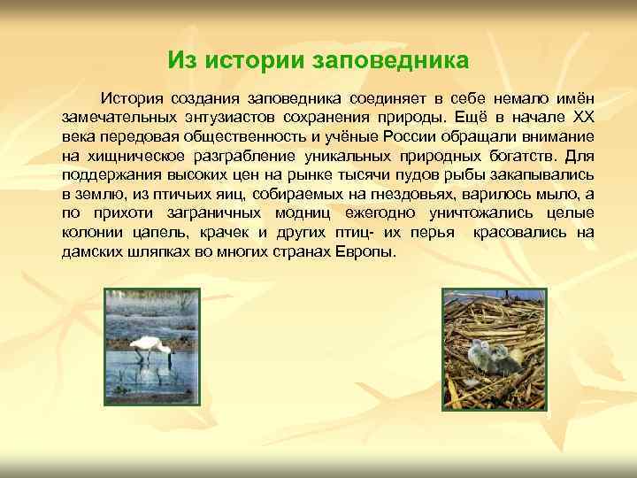 Из истории заповедника История создания заповедника соединяет в себе немало имён замечательных энтузиастов сохранения