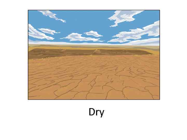 Dry 