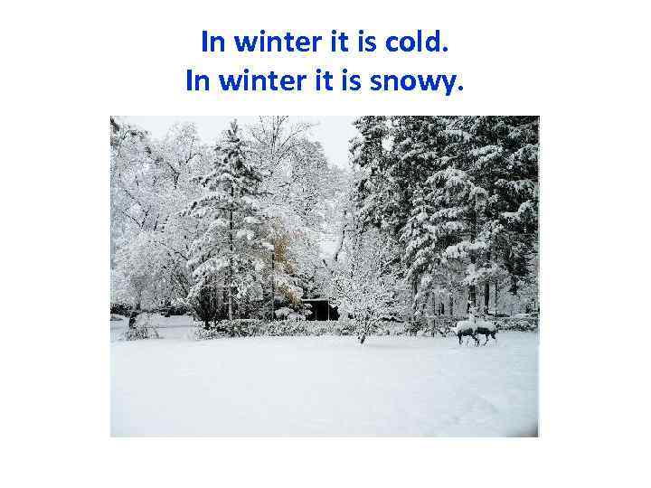 In winter it is cold. In winter it is snowy. 