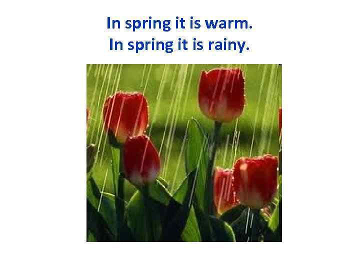 In spring it is warm. In spring it is rainy. 
