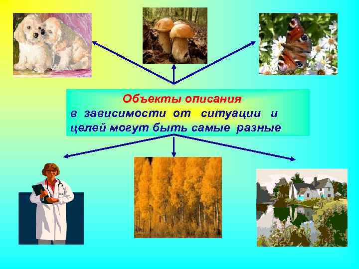 Объекты описания в зависимости от ситуации и целей могут быть самые разные 