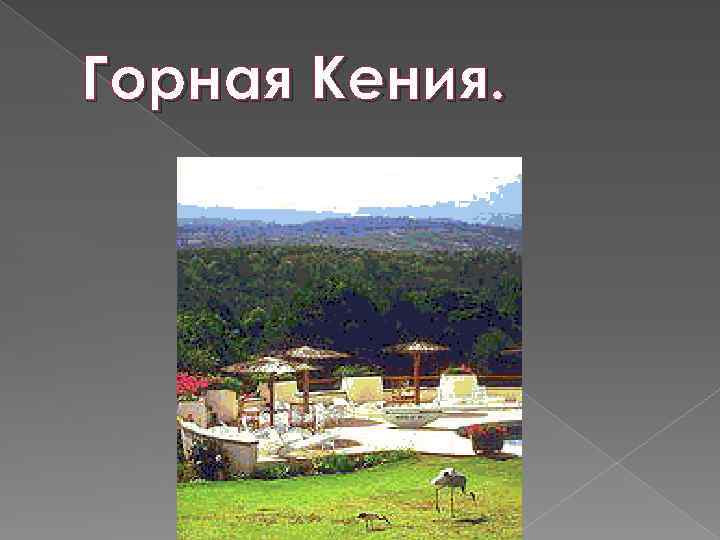 Горная Кения. 