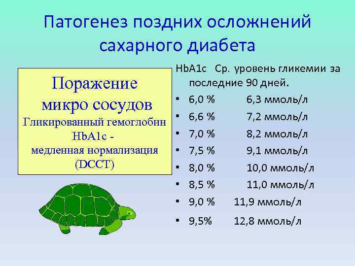 Патогенез поздних осложнений сахарного диабета Hb. A 1 c Ср. уровень гликемии за последние