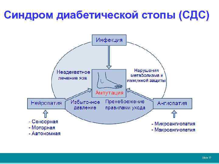 Синдром диабетической стопы (СДС) Slide 17 