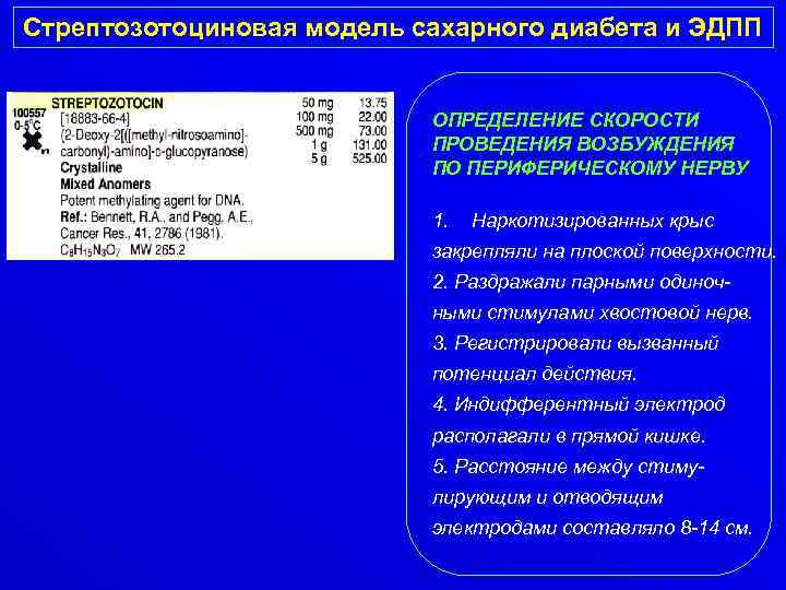 Стрептозотоциновая модель сахарного диабета и ЭДПП ОПРЕДЕЛЕНИЕ СКОРОСТИ ПРОВЕДЕНИЯ ВОЗБУЖДЕНИЯ ПО ПЕРИФЕРИЧЕСКОМУ НЕРВУ 1.