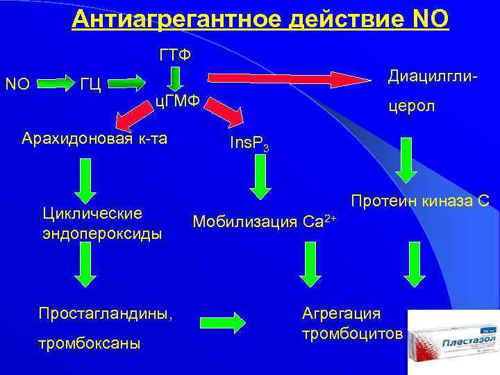 Антиагрегантное действие NO ГТФ NO ГЦ Диацилглиц. ГМФ Арахидоновая к-та Циклические эндопероксиды Простагландины, тромбоксаны