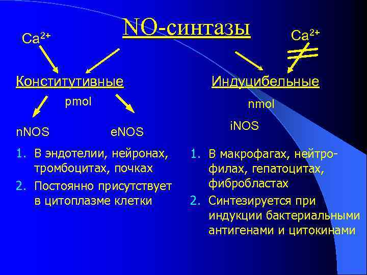 NO-синтазы Ca 2+ Конститутивные pmol n. NOS Ca 2+ Индуцибельные nmol e. NOS 1.