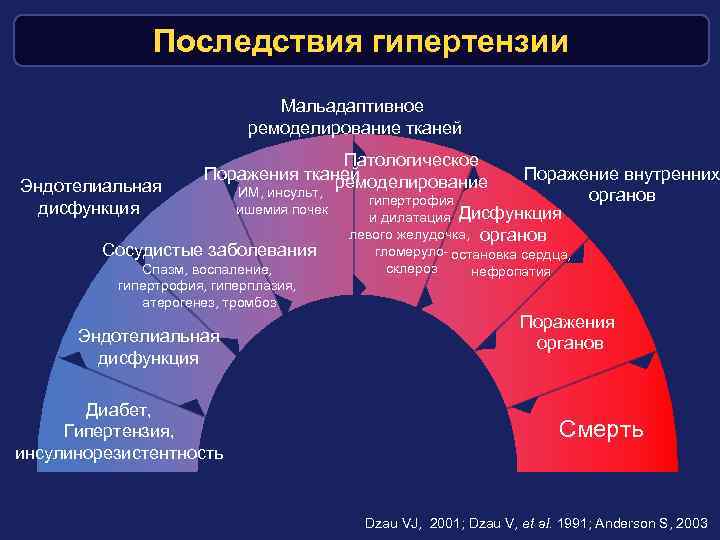 Последствия гипертензии Мальадаптивное ремоделирование тканей Эндотелиальная дисфункция Патологическое Поражения тканей ремоделирование ИМ, инсульт, ишемия