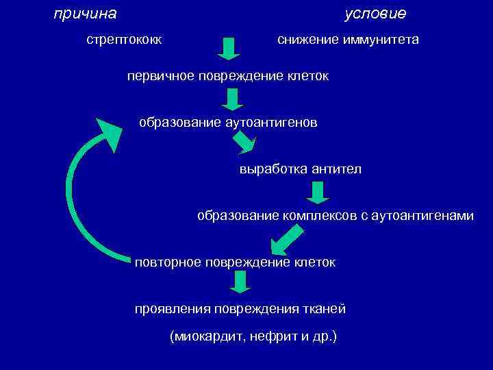 причина условие стрептококк снижение иммунитета первичное повреждение клеток образование аутоантигенов выработка антител образование комплексов