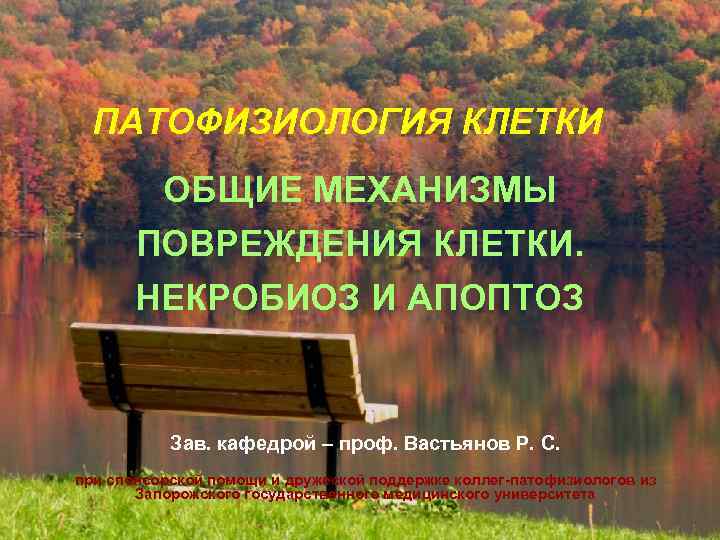 ПАТОФИЗИОЛОГИЯ КЛЕТКИ ОБЩИЕ МЕХАНИЗМЫ ПОВРЕЖДЕНИЯ КЛЕТКИ. НЕКРОБИОЗ И АПОПТОЗ Зав. кафедрой – проф. Вастьянов