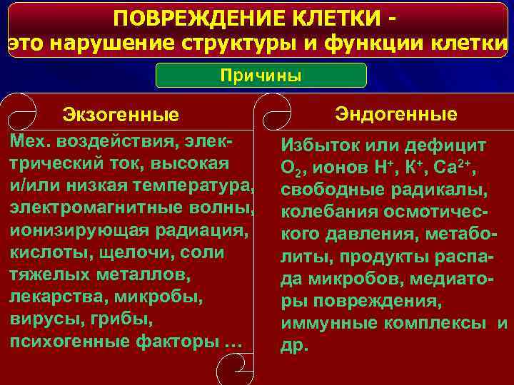 ПОВРЕЖДЕНИЕ КЛЕТКИ это нарушение структуры и функции клетки Причины Экзогенные Мех. воздействия, электрический ток,