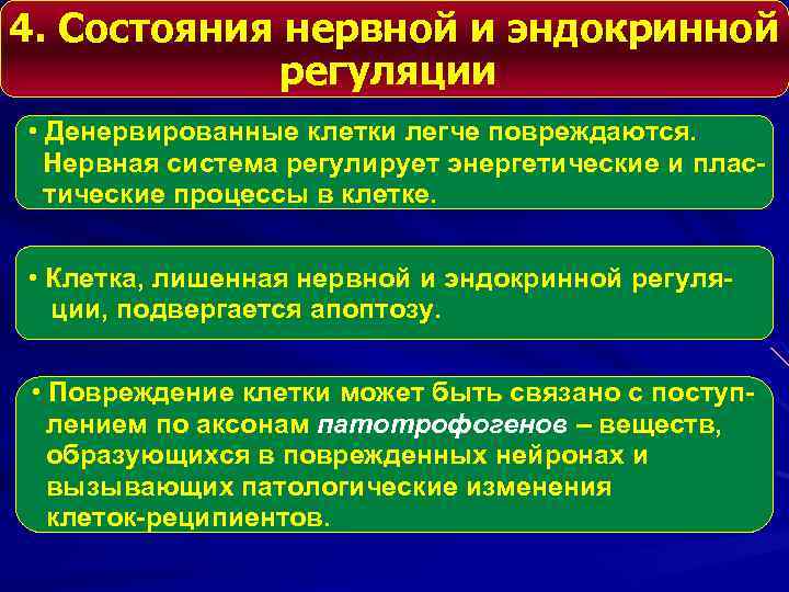 4. Состояния нервной и эндокринной регуляции • Денервированные клетки легче повреждаются. Нервная система регулирует