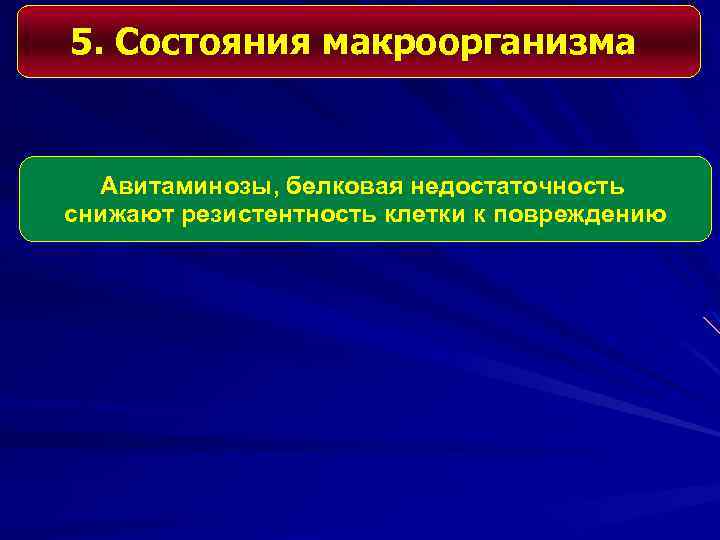 5. Состояния макроорганизма Авитаминозы, белковая недостаточность снижают резистентность клетки к повреждению 