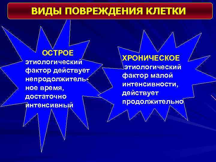 ВИДЫ ПОВРЕЖДЕНИЯ КЛЕТКИ ОСТРОЕ этиологический фактор действует непродолжительное время, достаточно интенсивный ХРОНИЧЕСКОЕ этиологический фактор