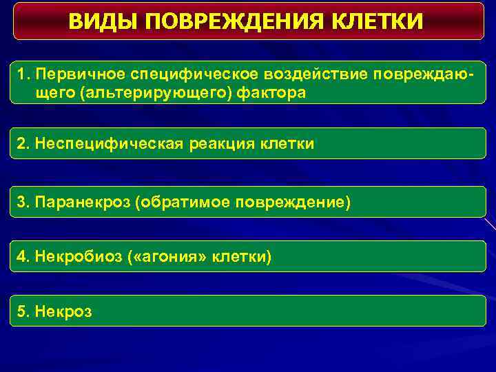 ВИДЫ ПОВРЕЖДЕНИЯ КЛЕТКИ 1. Первичное специфическое воздействие повреждающего (альтерирующего) фактора 2. Неспецифическая реакция клетки