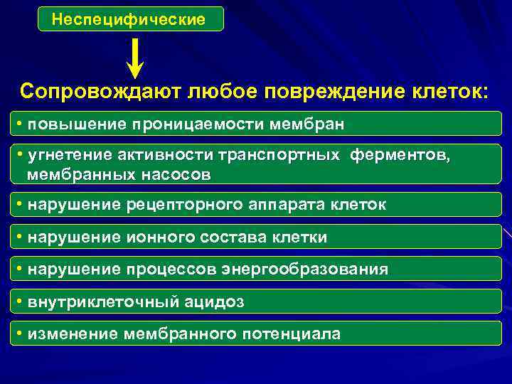 Неспецифические Сопровождают любое повреждение клеток: • повышение проницаемости мембран • угнетение активности транспортных ферментов,