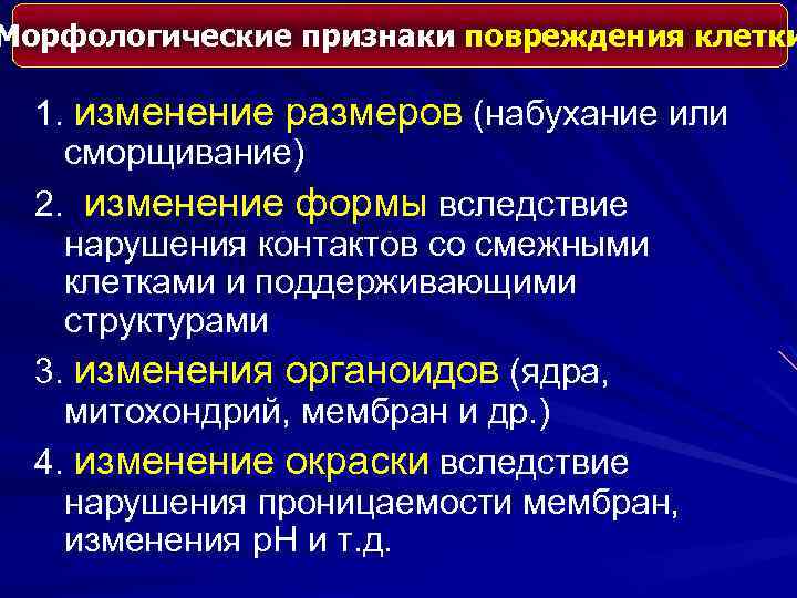 Морфологические признаки повреждения клетки 1. изменение размеров (набухание или сморщивание) 2. изменение формы вследствие